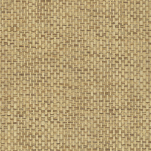 NP6147 Curry