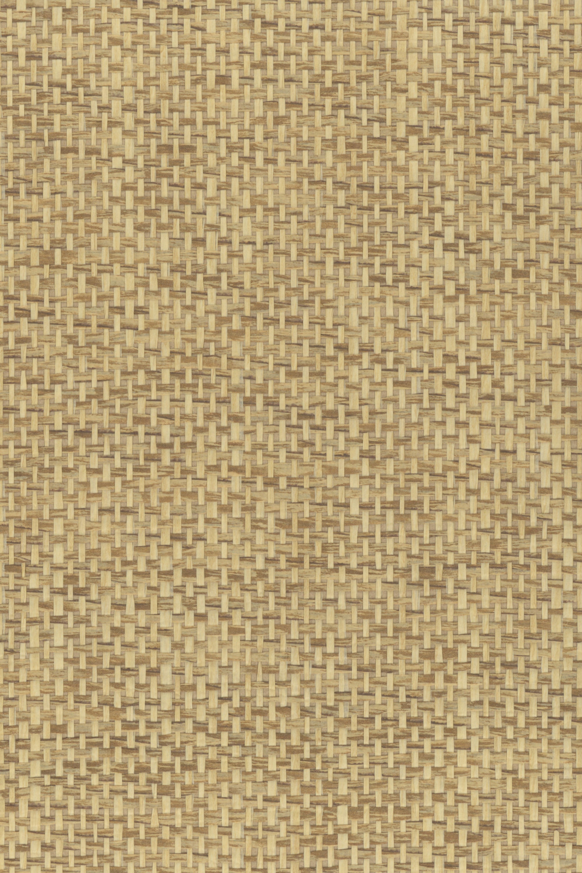 NP6147 Curry