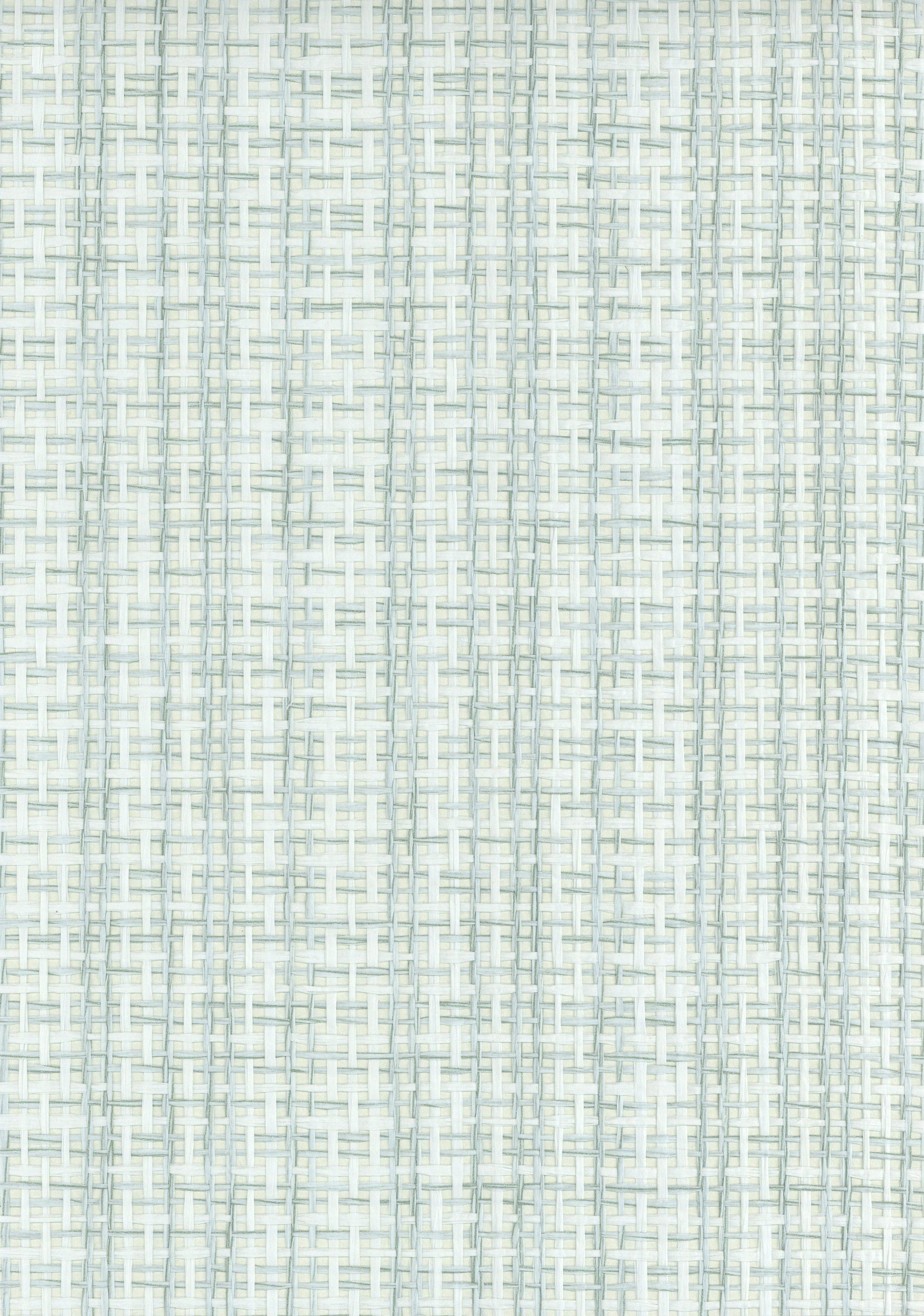 NP6304 Spray