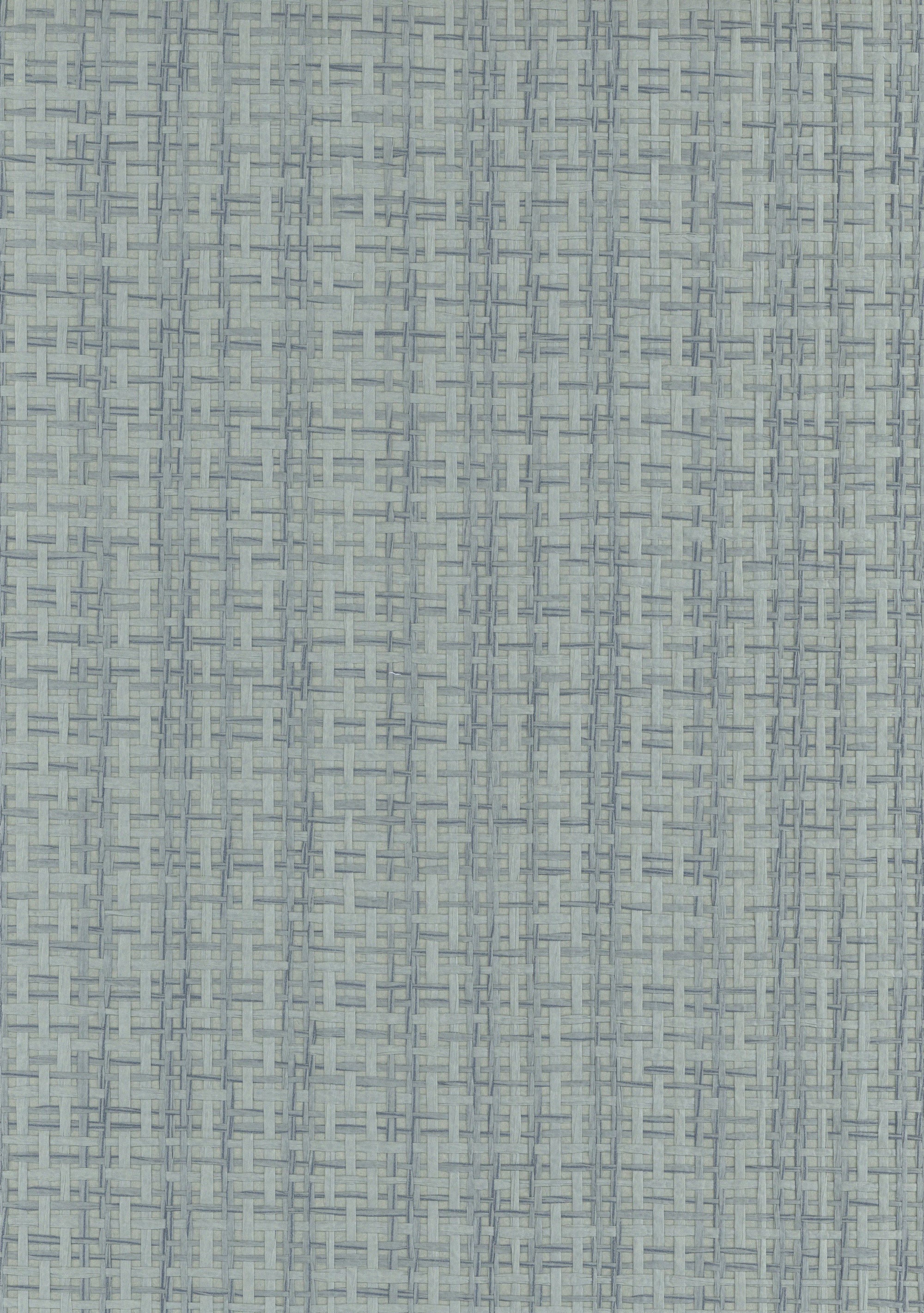 NP6307 Seagrass