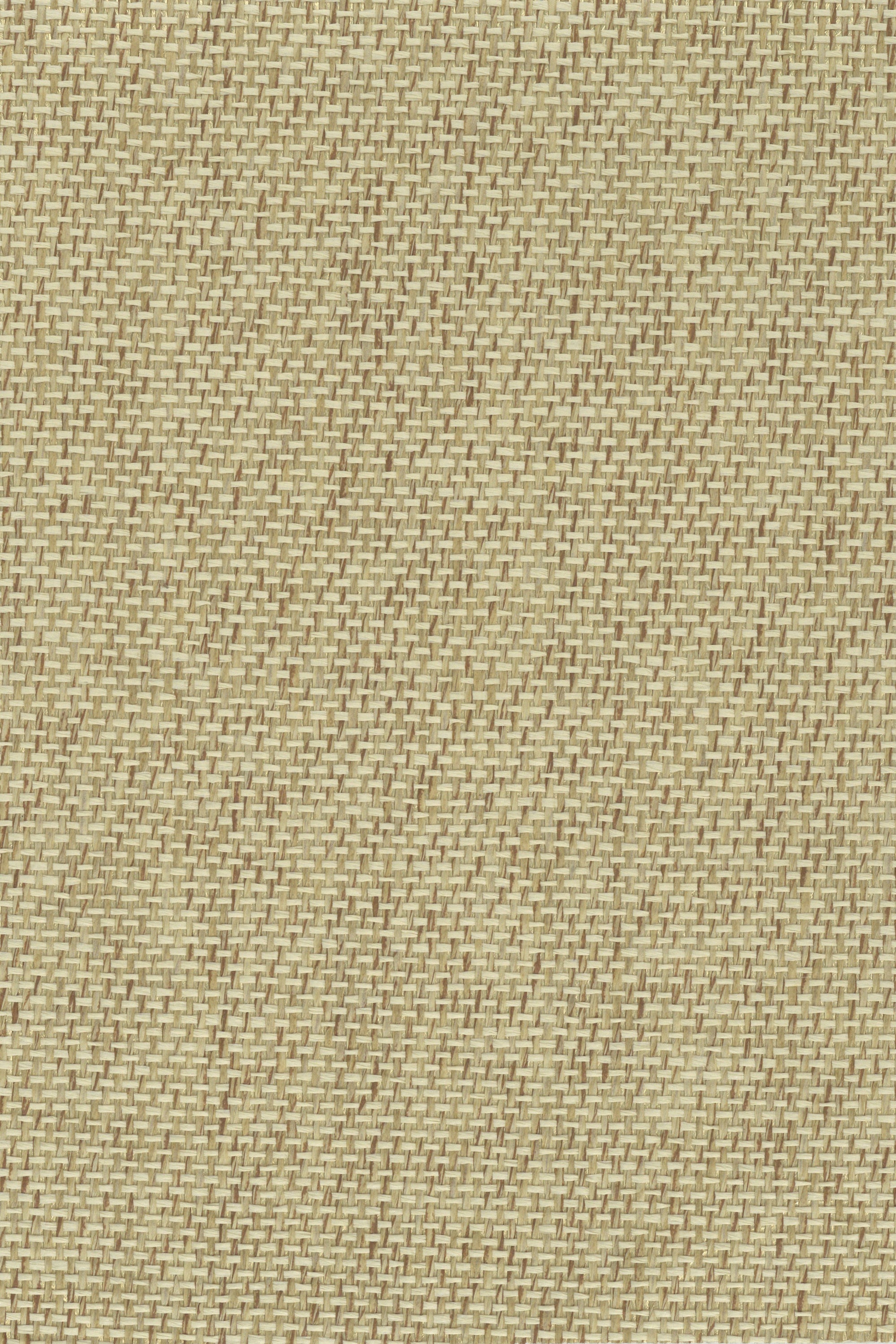 NP6501 Butter