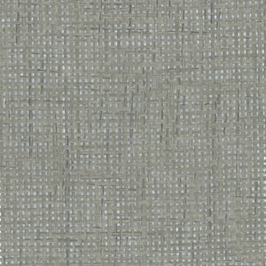 NP6537 Silver & Gray