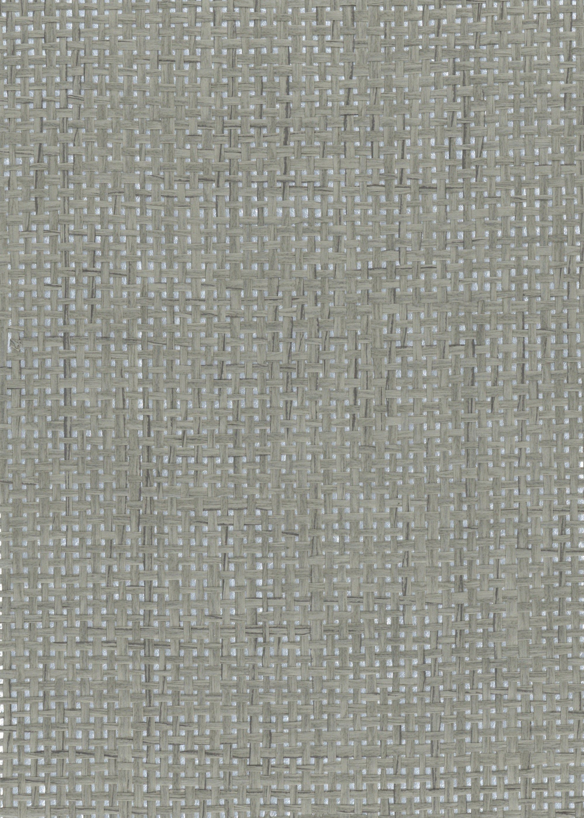 NP6537 Silver & Gray