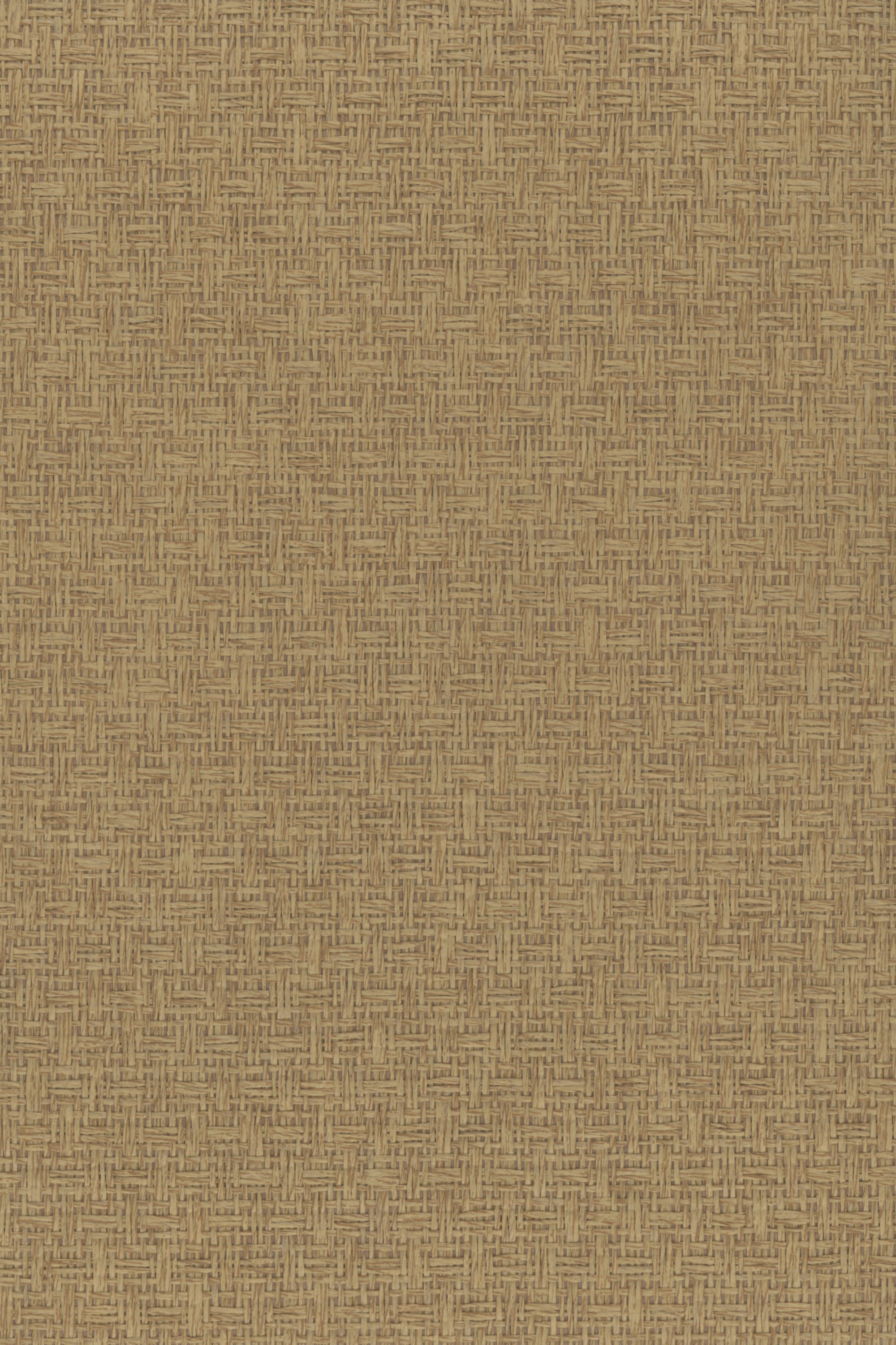 NP6606 Latte