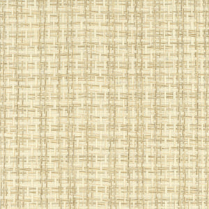 NP6688 Sage & White
