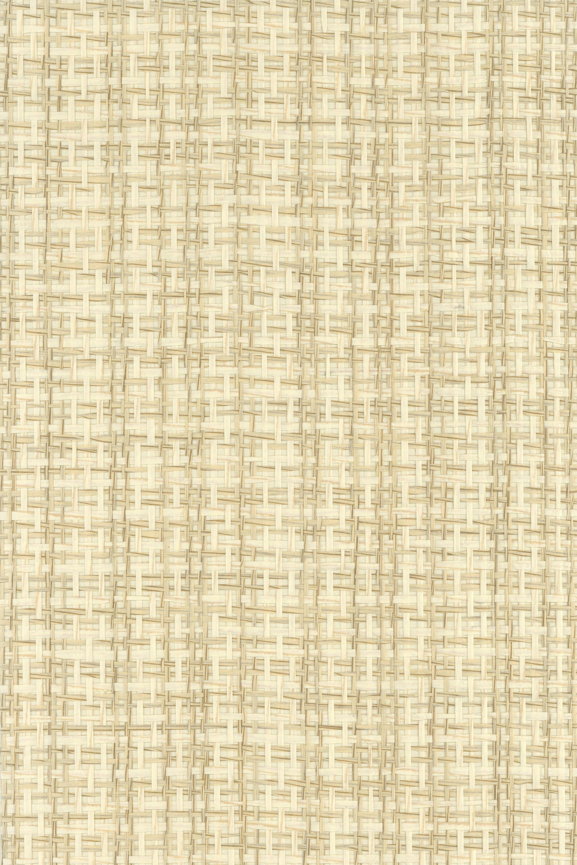 NP6688 Sage & White