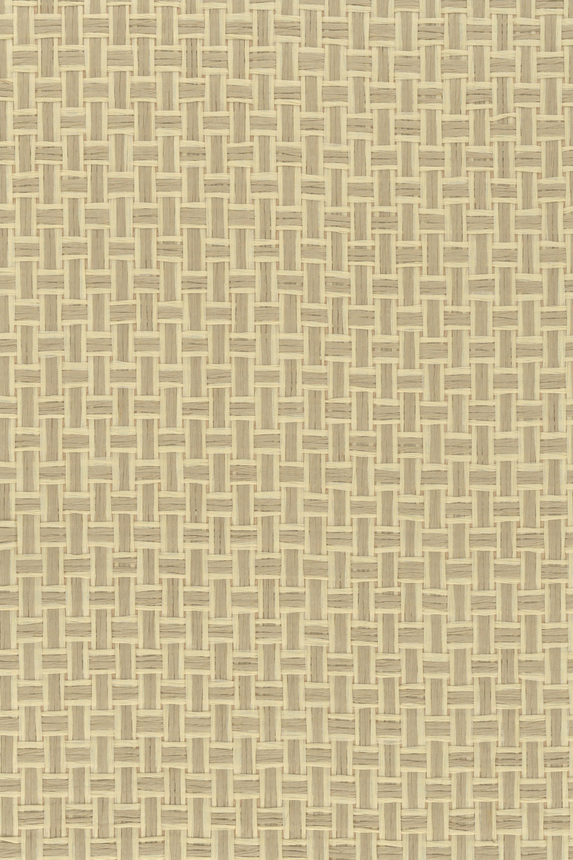 NP6695 Reed