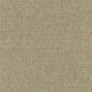 NP6716 Pale Khaki