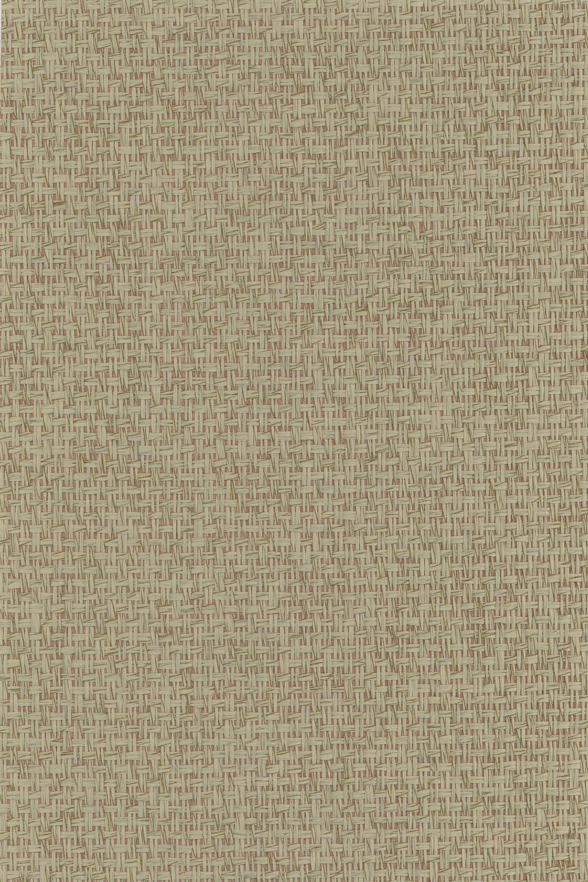 NP6716 Pale Khaki