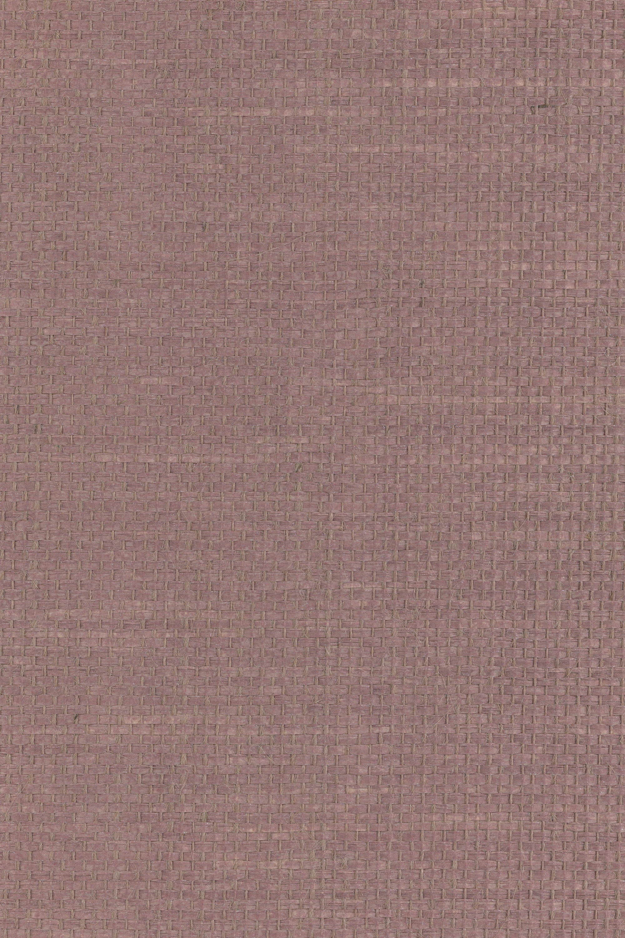 NP8013 Misty Rose