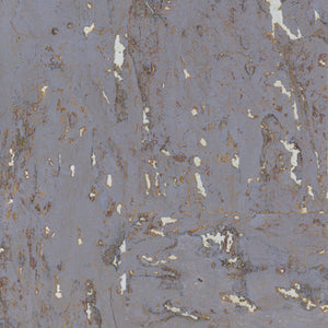 NQ8305 Cosmic Sky