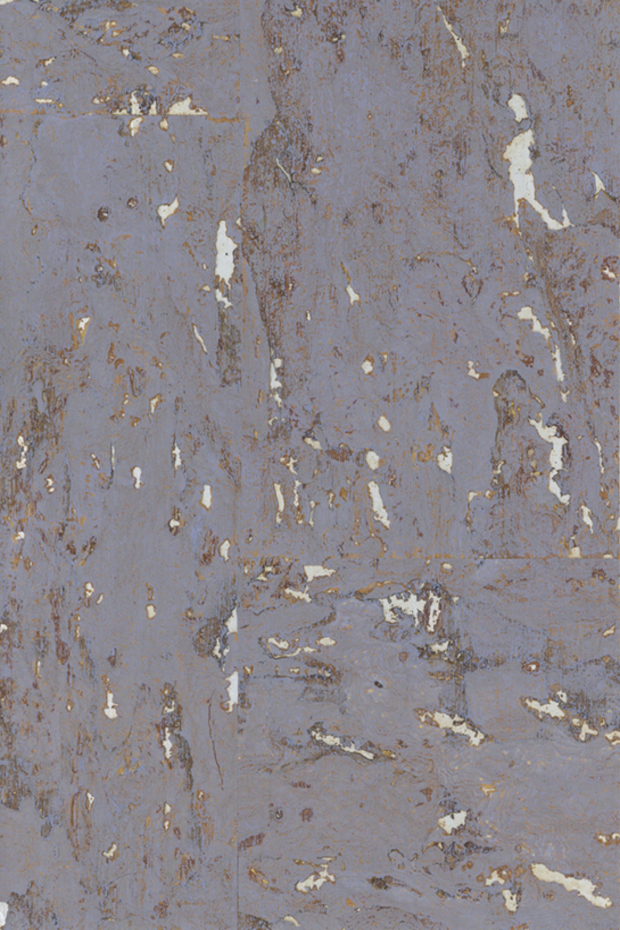 NQ8305 Cosmic Sky