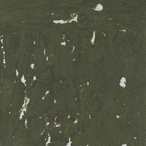 NQ8313 Rifle Green