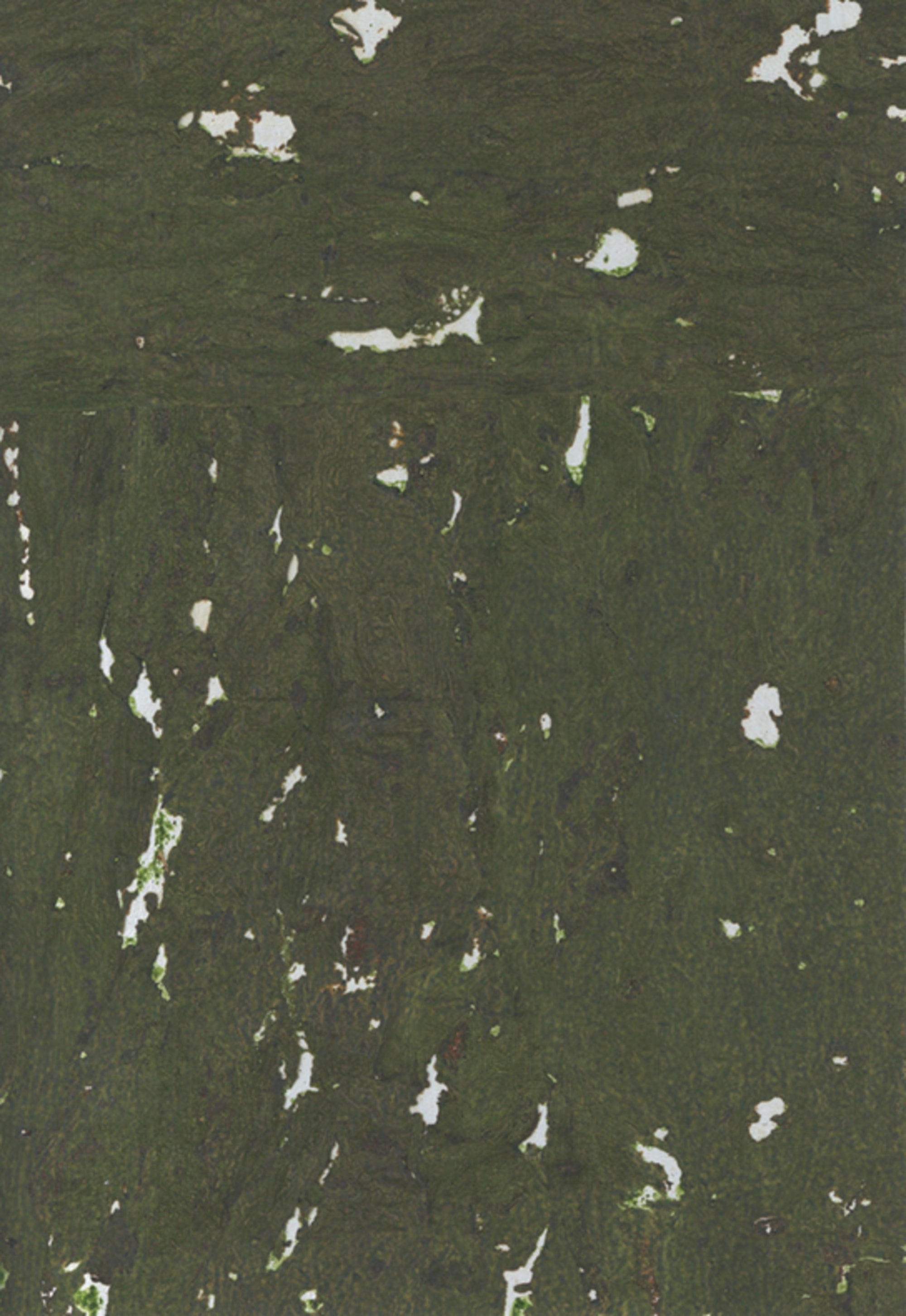 NQ8313 Rifle Green