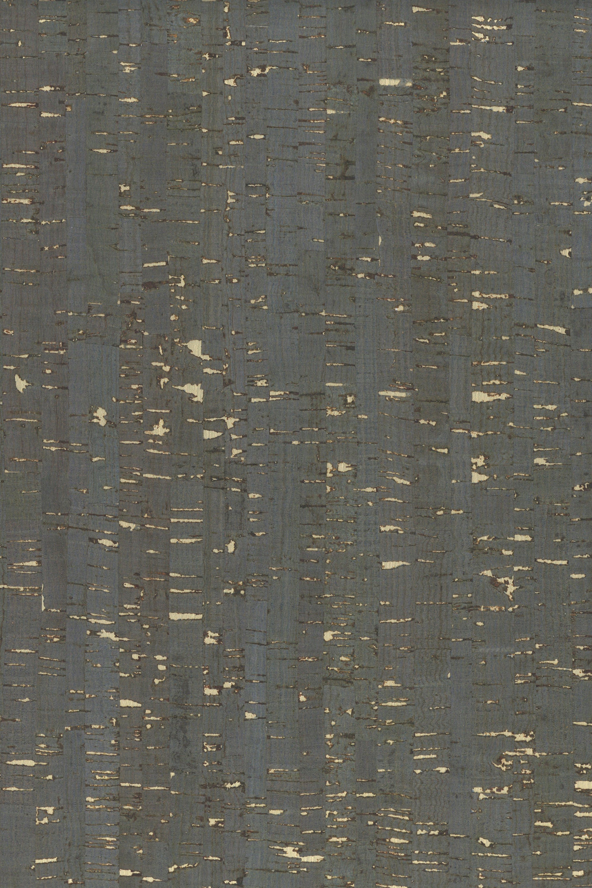 NQ8341 Fascinating Fir