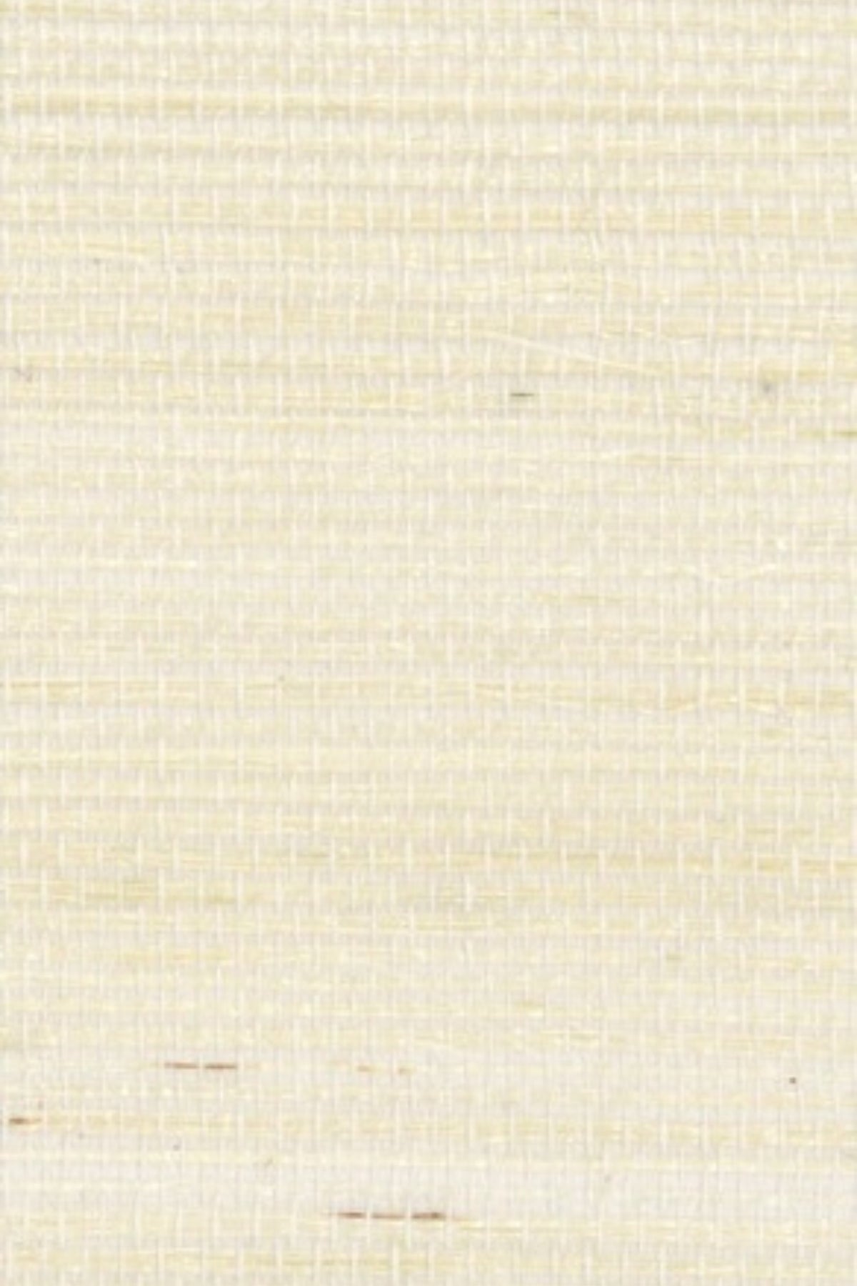 NS1014 Bright White