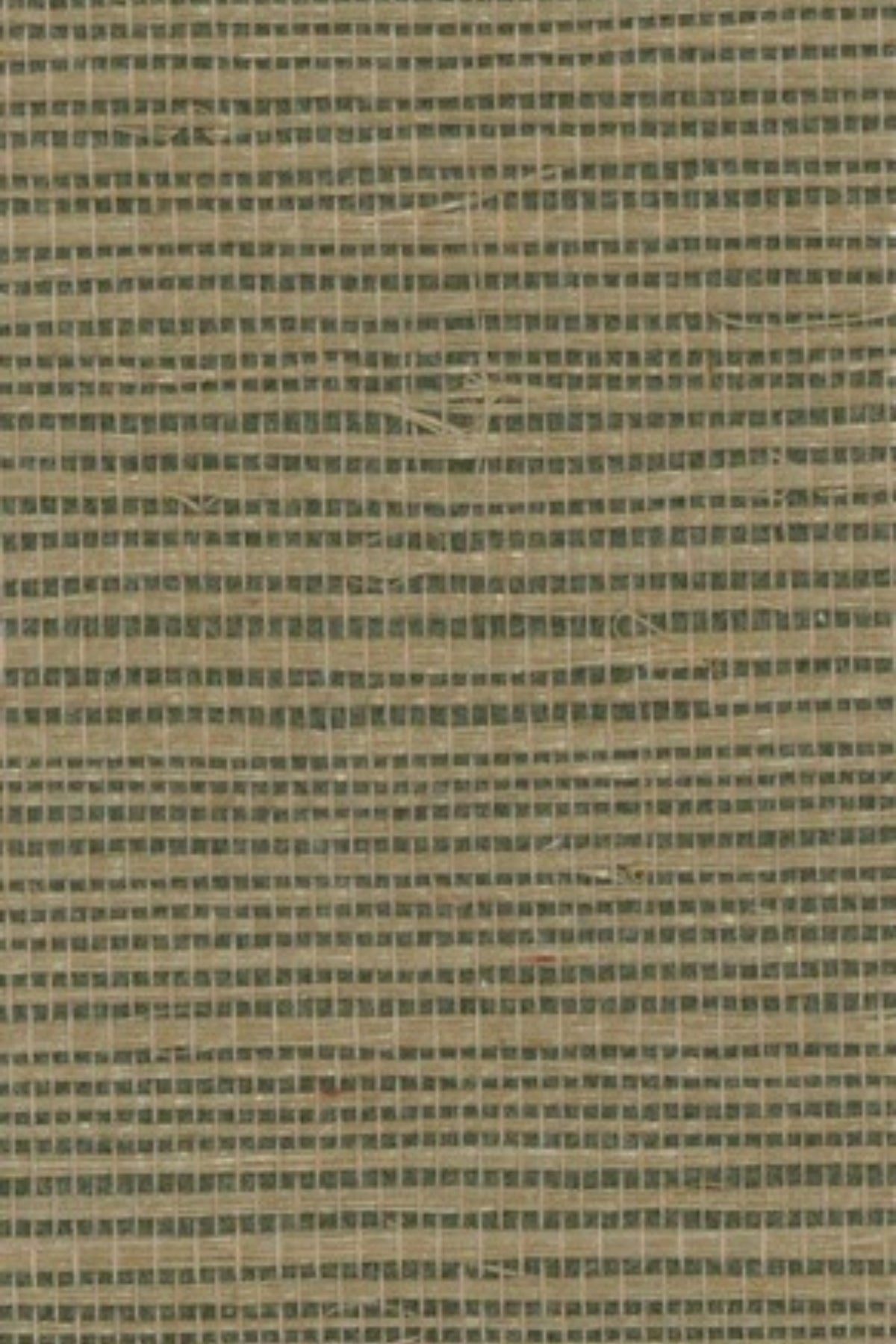 NS1023 Reed Bed