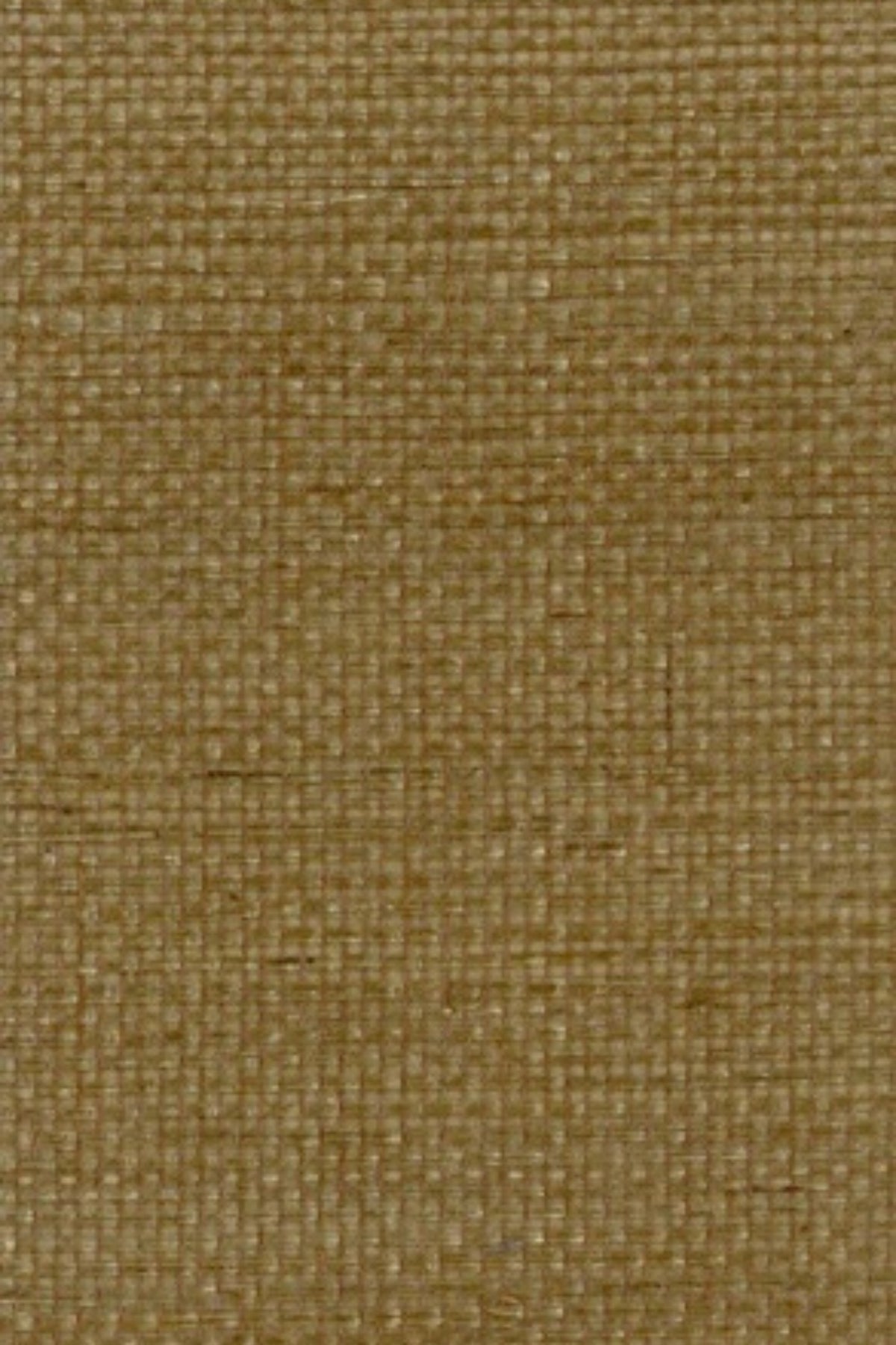 NS1032 Oak Moss
