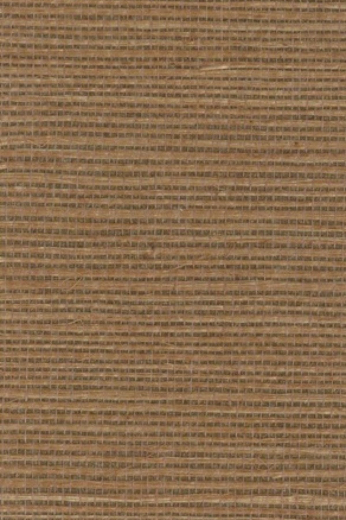 NS1069 Cashew
