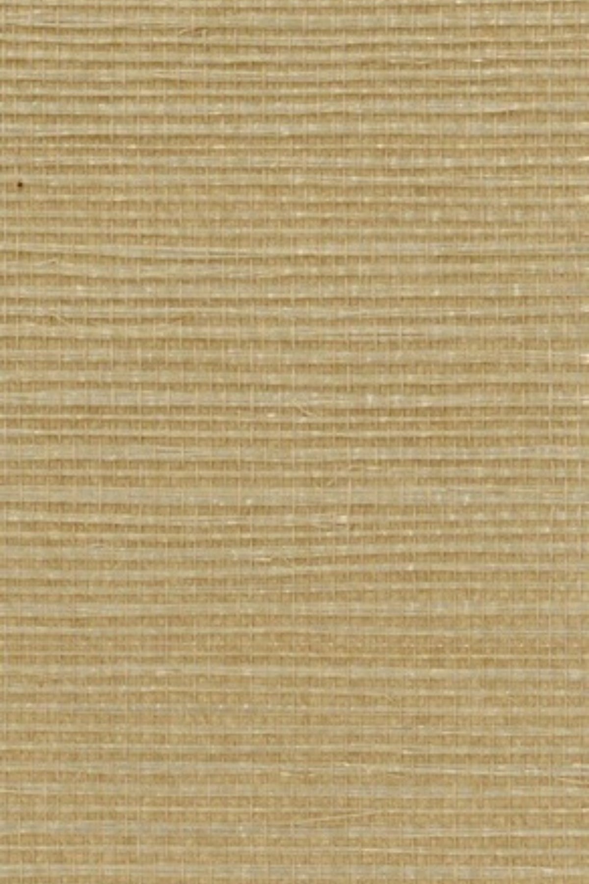 NS1074 Dune Linen