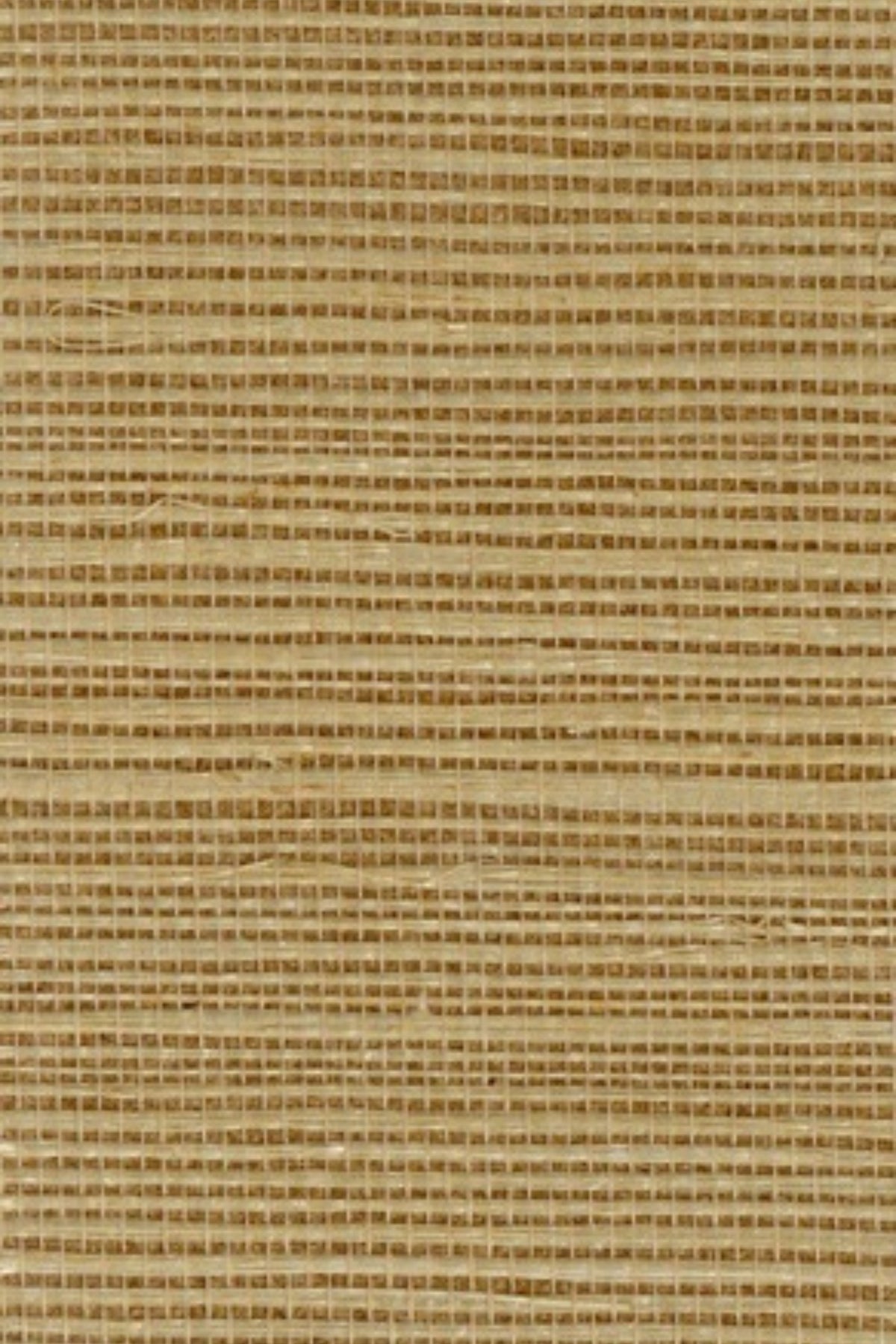 NS1076 Dune Reed