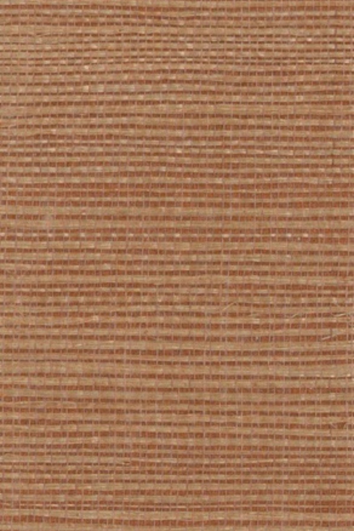 NS1092 Desert Sage