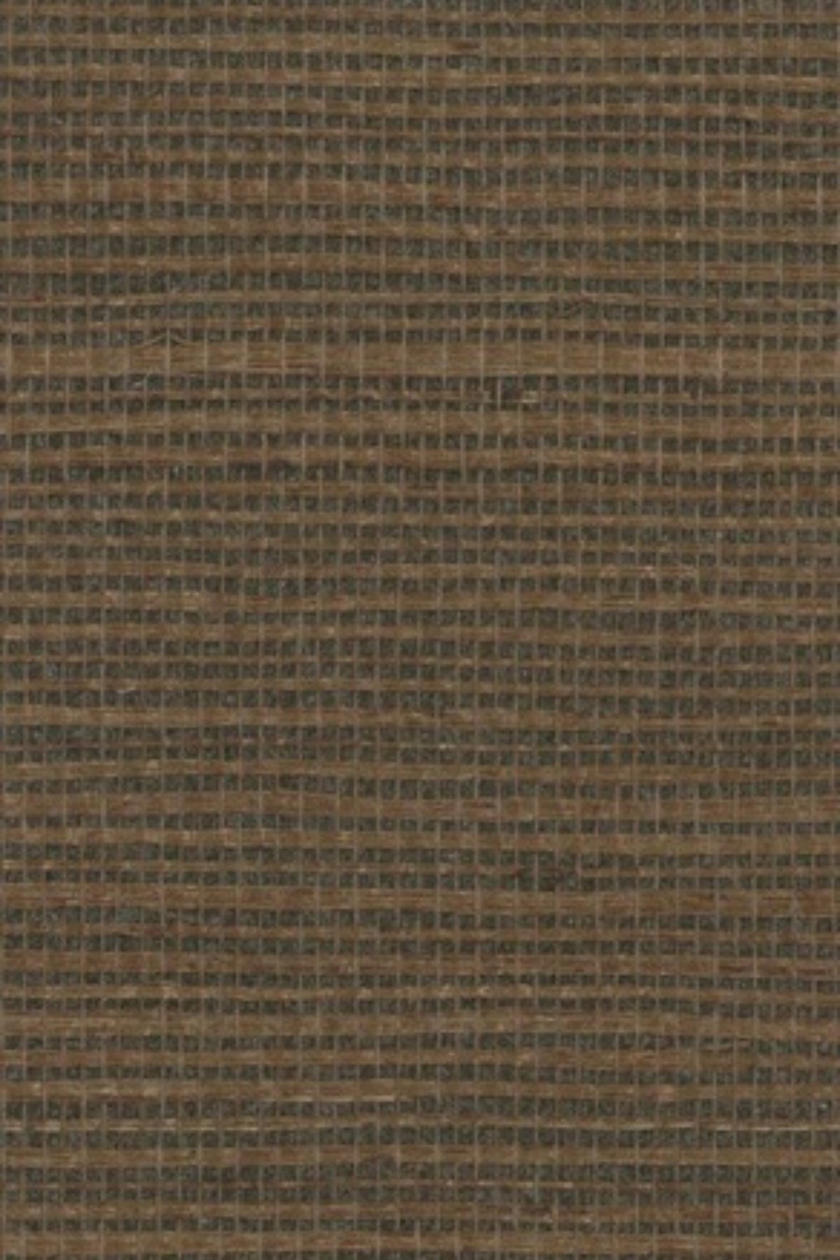 NS1097 Truffle Brown