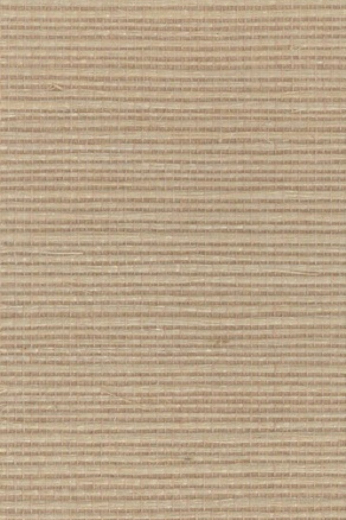 NS1100 Beach Sand