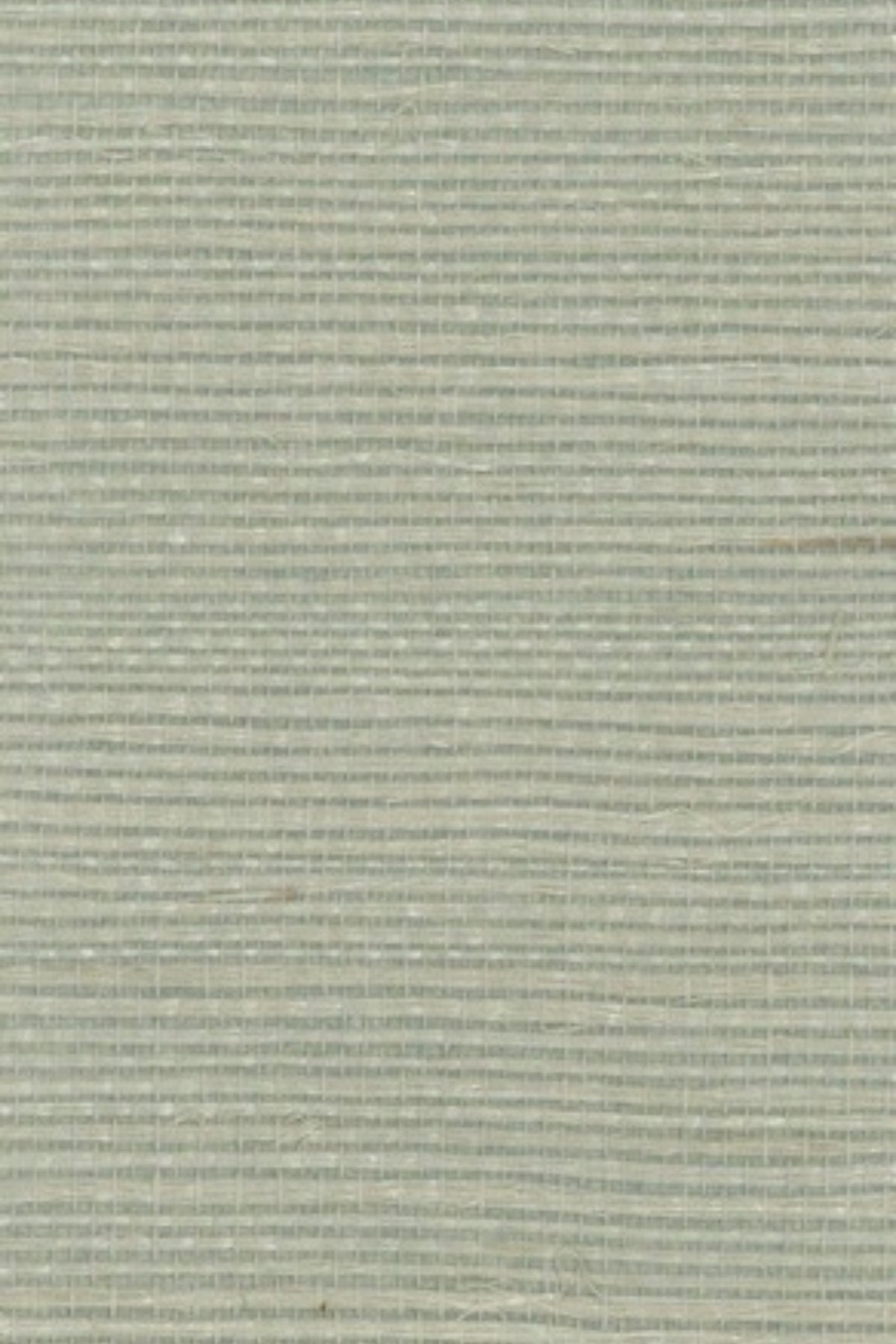 NS1104 Mist Sage
