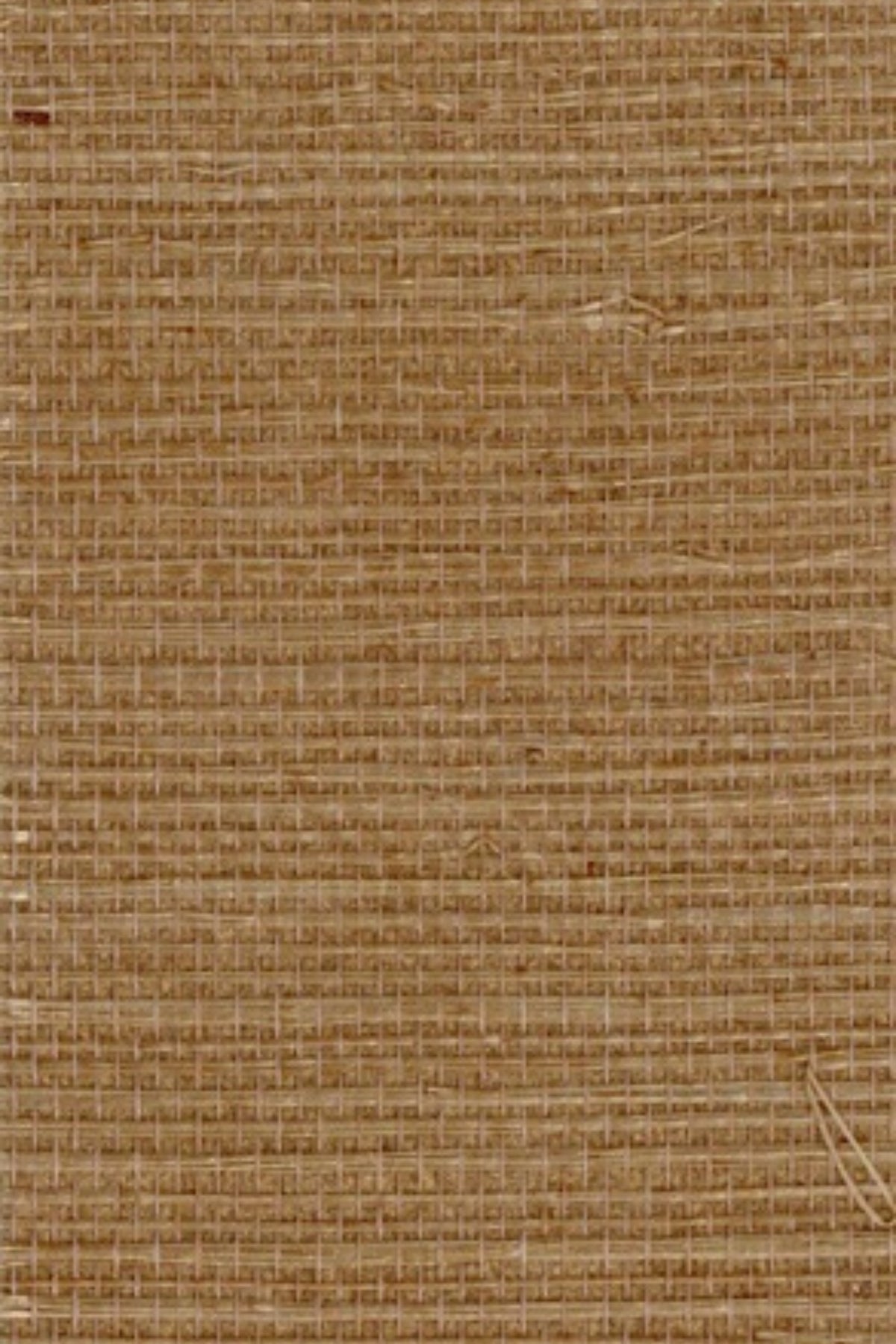 NS1107 Desert Gravel