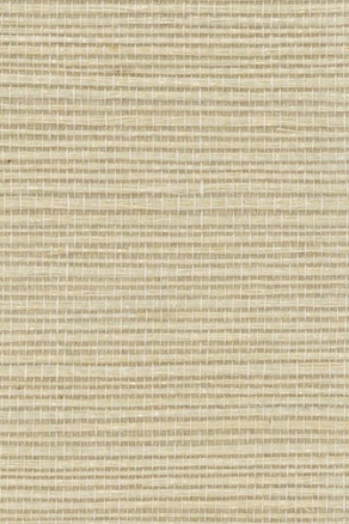 NS1110 Dry Straw