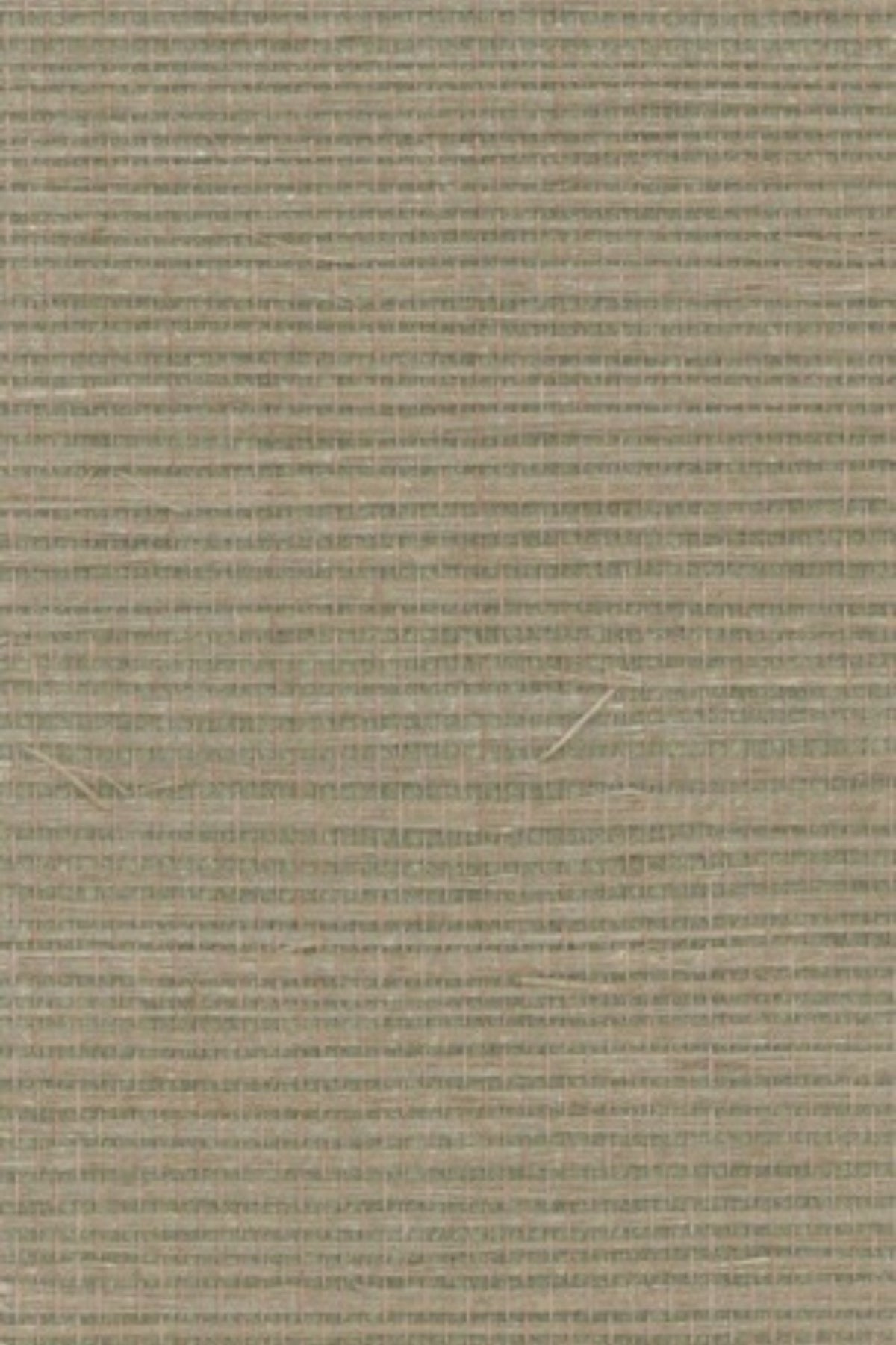 NS1119 Prairie Loam