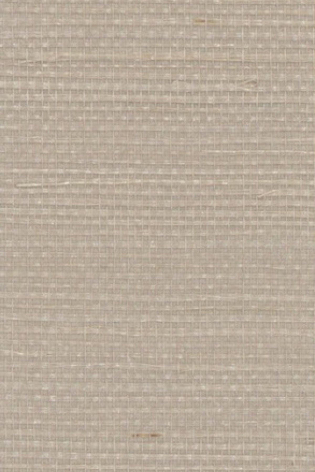 NS1123 Brown Rice