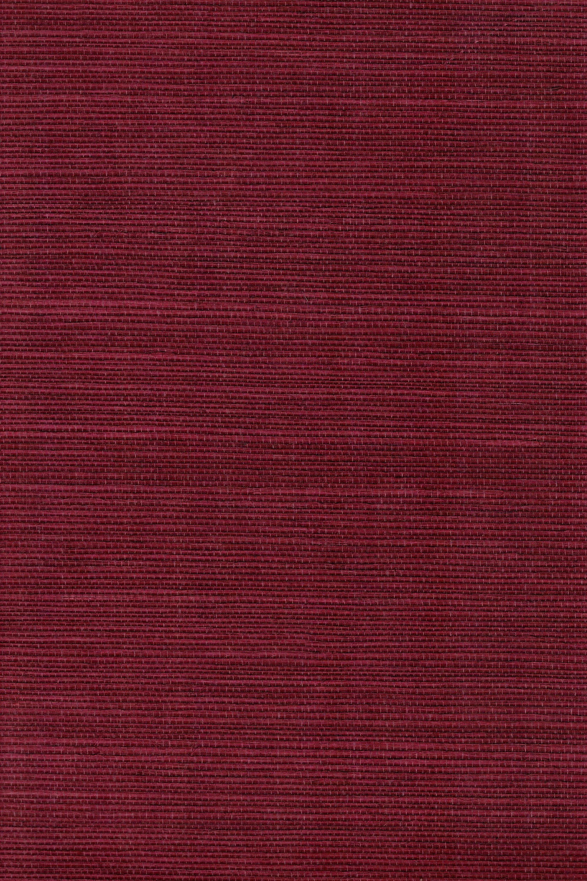 NS1127 Chili Pepper