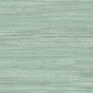 NS1128 Wasabi