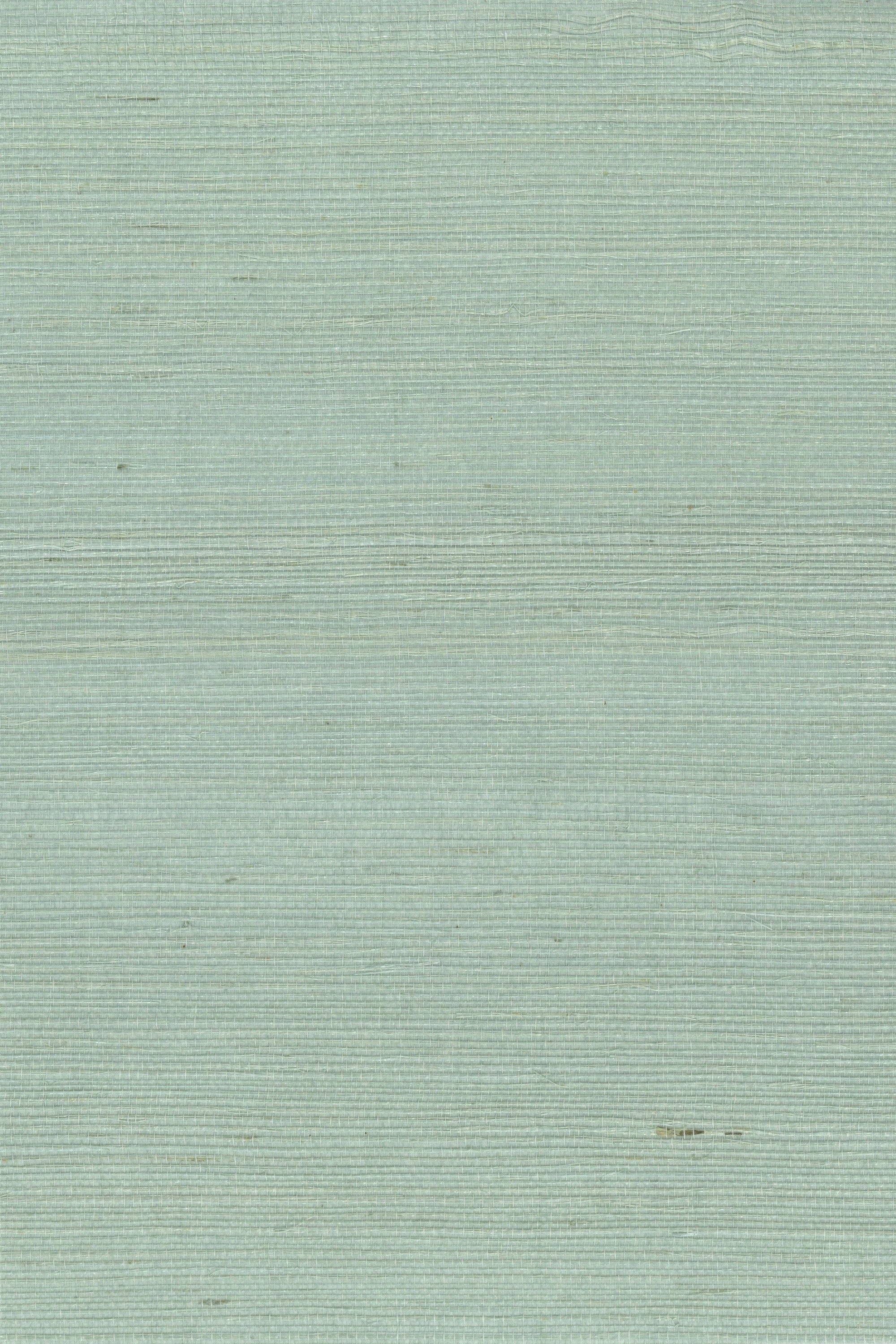 NS1128 Wasabi
