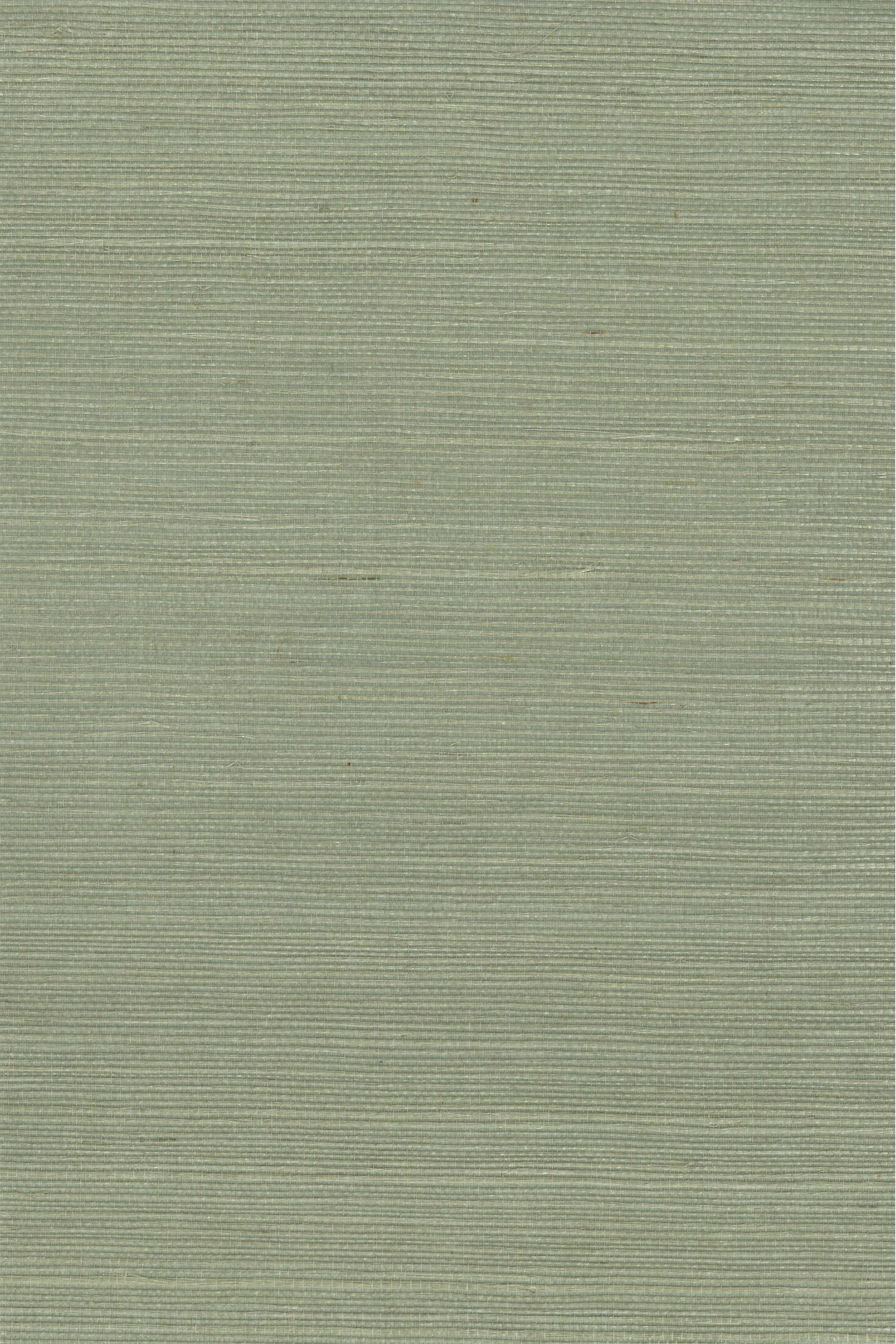 NS1129 Desert Sage