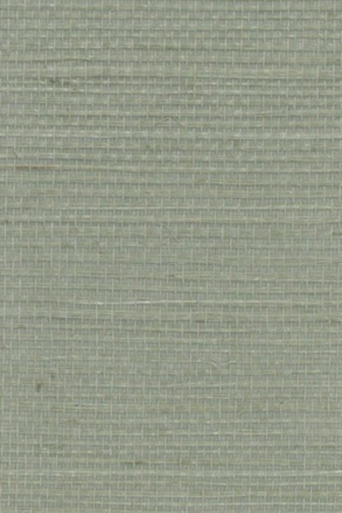 NS1129 Dune Thyme