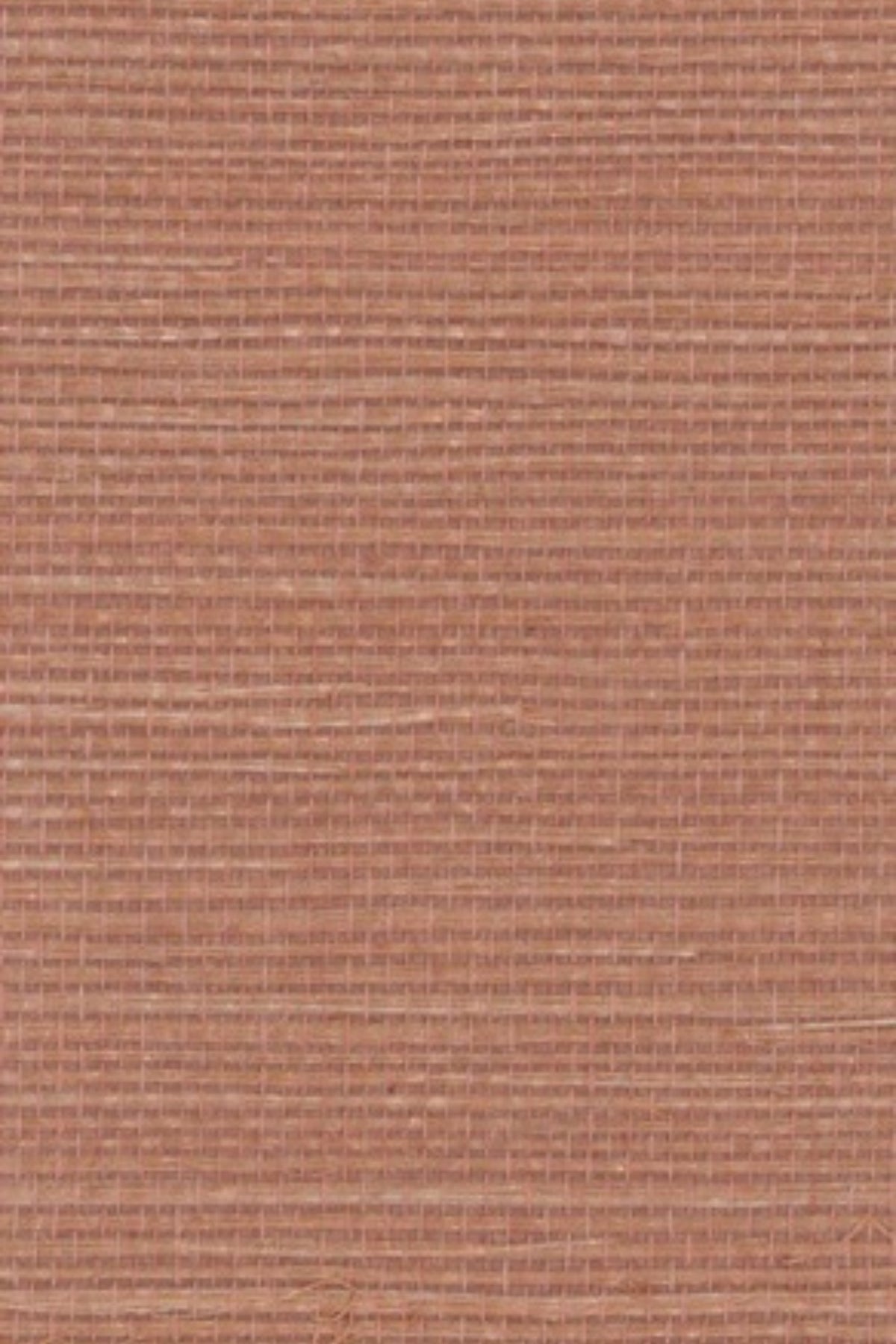 NS1138 Desert Sun