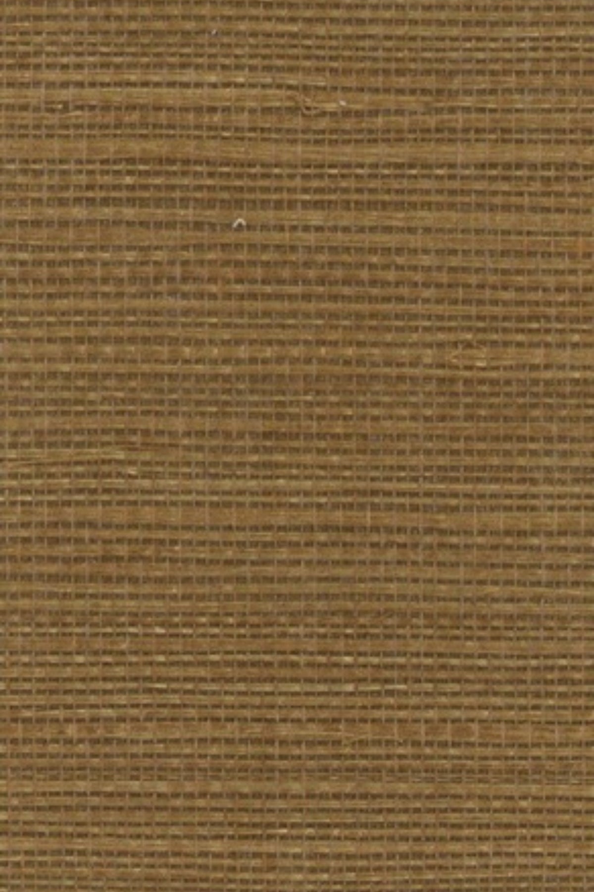 NS1139 Tepenade