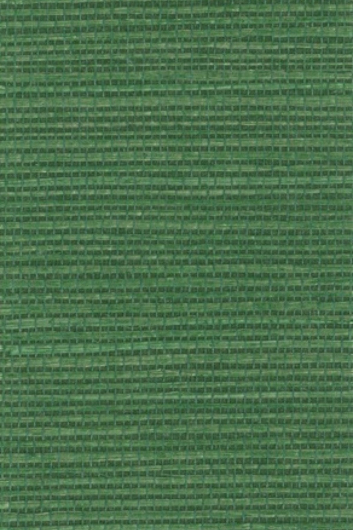 NS1141 Jolly Green
