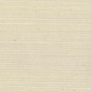 NS1145 Marzipan