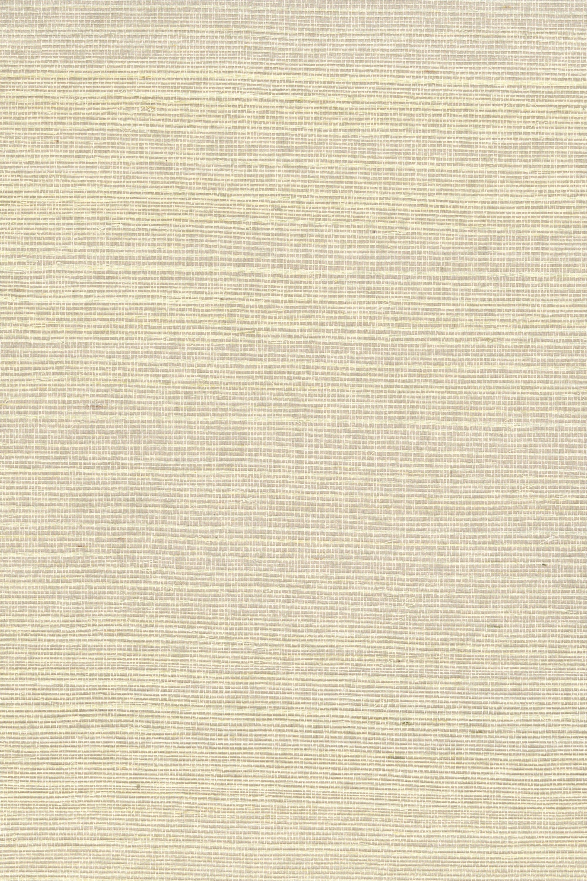 NS1145 Marzipan