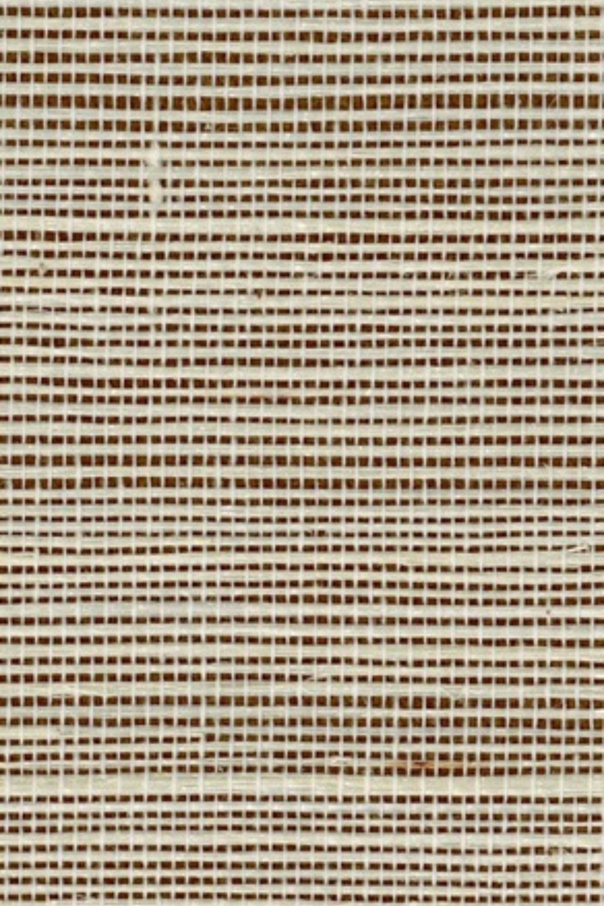 NS1147 Dull Gold