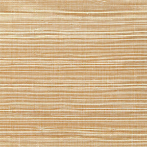 NS1148 Fenugreek