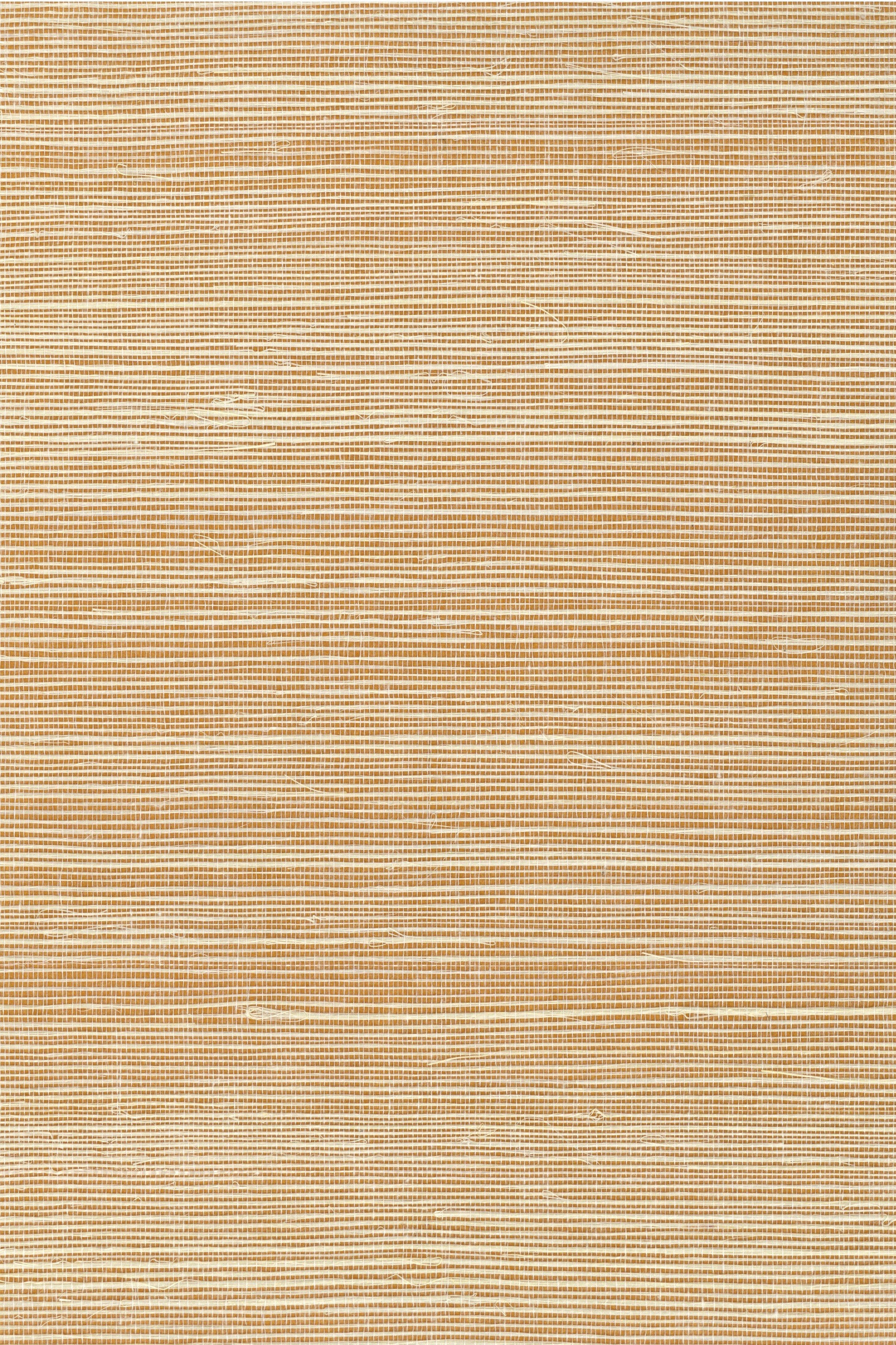 NS1148 Fenugreek