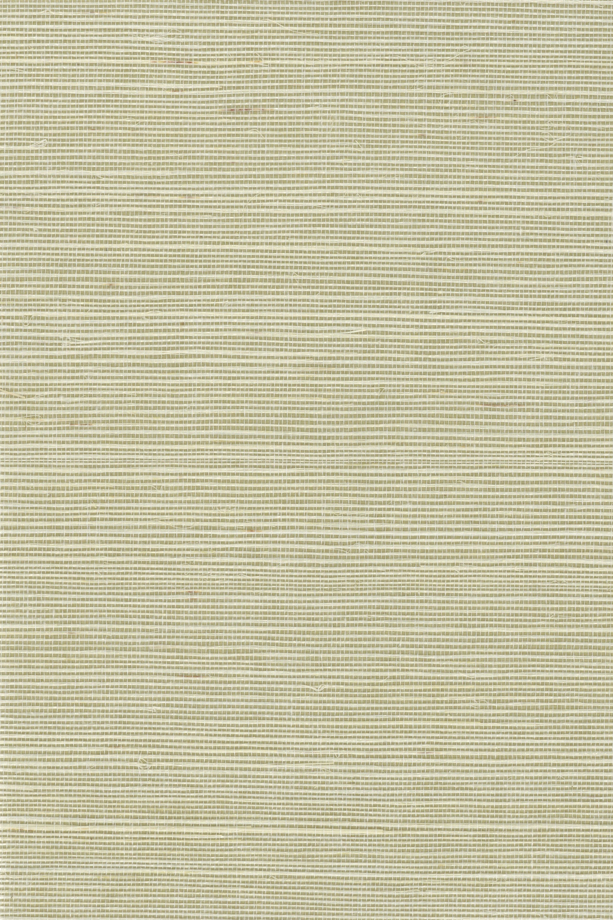 NS1150 Garden Glade