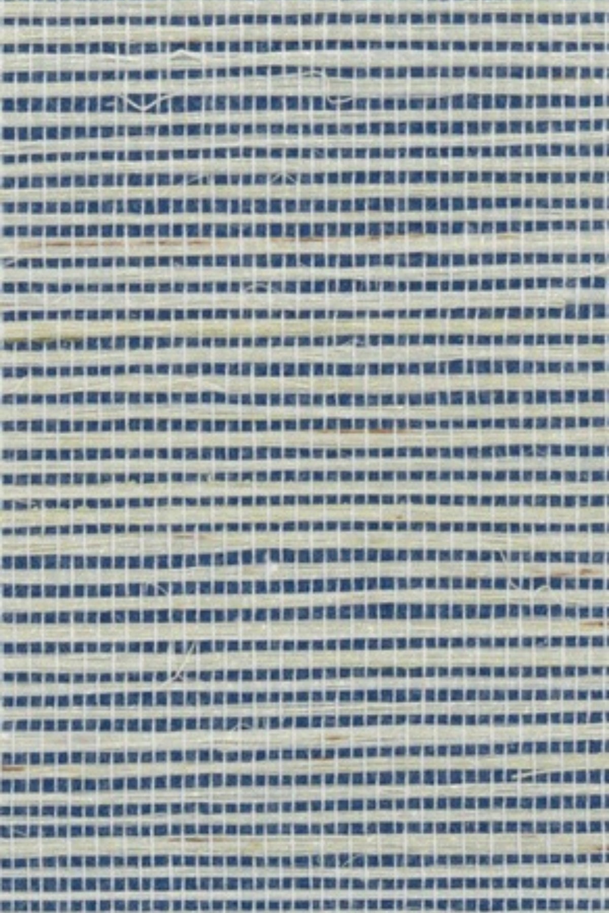 NS1154 Lapis Blue