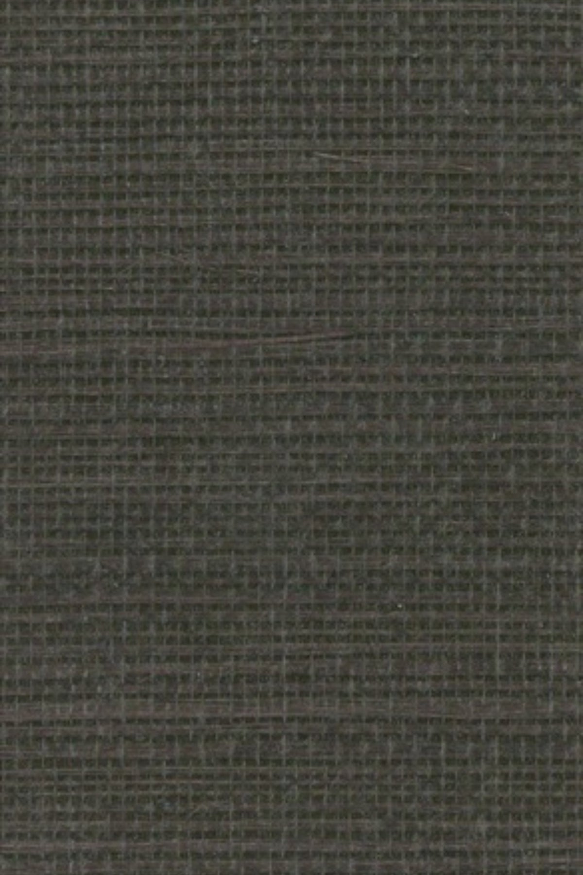 NS1164 Bracken