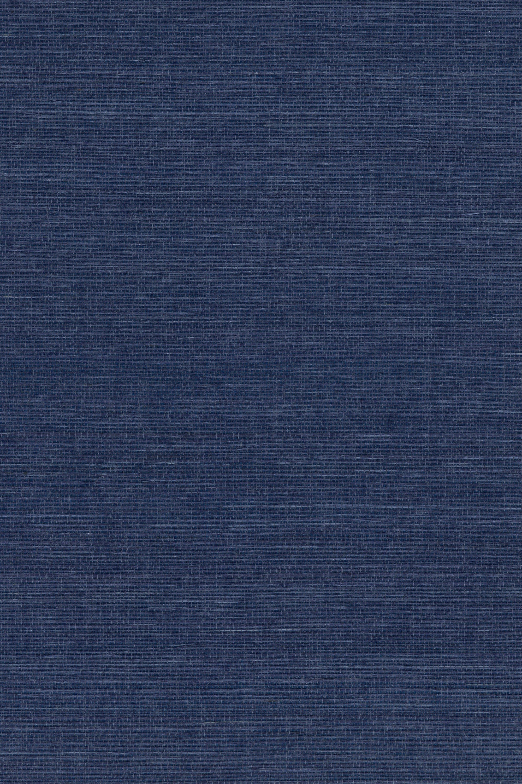 NS1168 Legion Blue
